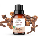 Clove Bud Essential Oil
